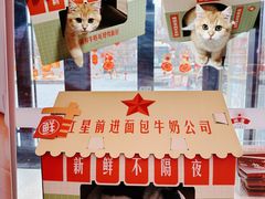 -红星前进面包牛奶公司(五道口购物中心店)