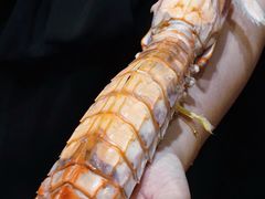 -凯华海鲜火锅·传承三十六年