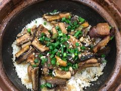 -红星光发煲仔饭(大石街店)