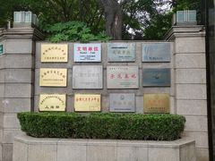 -中国福利会少年宫