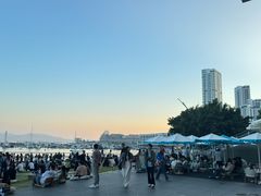 -SAANCI山池咖啡(海上世界文化艺术中心店)