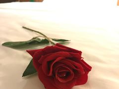 -宜必思酒店(扬州文昌阁店)