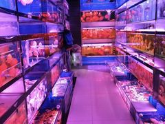 -青石桥花鸟鱼虫市场(叠翠城店)