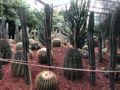 -呀路古热带植物园