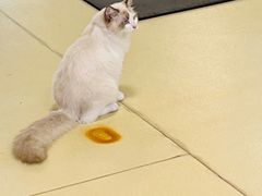 -中田健身工作室(中针商务店)