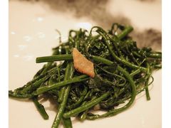 方鱼姜汁炒有机树菜-潮隐·东园现代潮菜