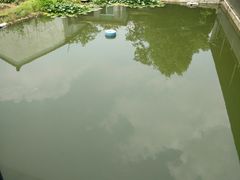 -横山鱼头馆(张横路店)