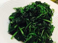 -玖号公馆