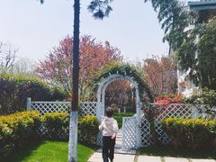 -梅林春晓花园餐厅