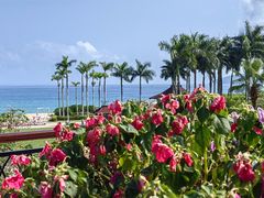 -大堂酒廊·亚龙湾万豪度假酒店