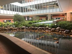 -香港大学