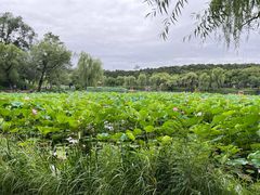 -承德避暑山庄景区