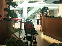 -新白鹿餐厅(虹桥南丰城店)