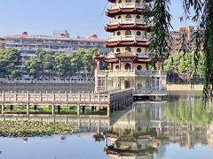 -宝岛公园
