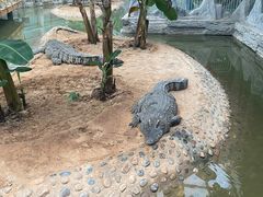 -石家庄市动物园