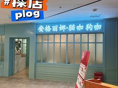 -安格丽娜·狗咖·猫咖羊驼咖(春熙路百盛商场店)