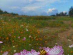 -汉长安城未央宫国家考古遗址公园