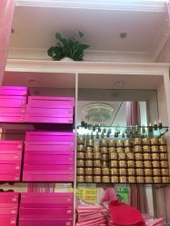 点击看大图 -香薇妮丝女子减肥院