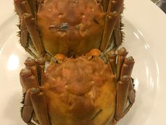 -王宝和酒家(黄浦店)