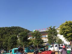 -长兴慧子土特产茶行