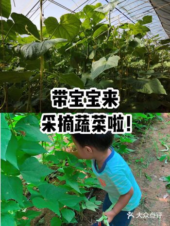 总是带宝宝去室内的游乐场玩，这次带她们去大自然中采摘