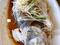 -大鸽饭(马王堆店)