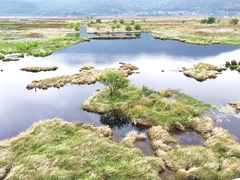 -腾冲北海湿地