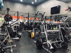 -健身专家Wellness Experts