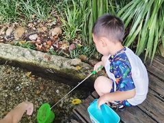 -成都市活水公园