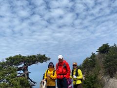 -妙道山国家森林公园