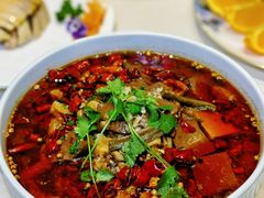 -蝶园·装修中(BFC外滩金融中心店)