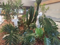 -云里小坐·海泉湾·团建·宴席·下午茶(金堂海泉湾店)