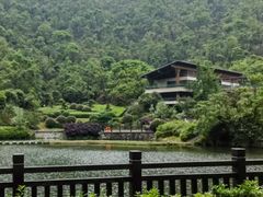 -桃花岭景区