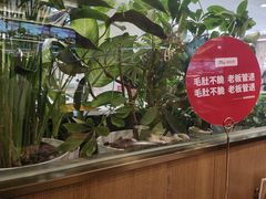 -井格重庆火锅(西直门凯德Mall店)