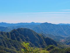 -大岭沟猕猴桃谷风景区