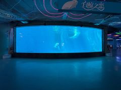 -海合安成都极地海洋公园