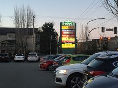 -油鸡洪