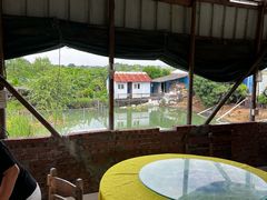 -海鸥岛河景湖大排档