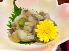 -桐寿司Sushi Tong