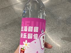 -潘家园(地铁站)