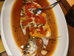 翘嘴鲌鱼-丹江渔村(望京店)