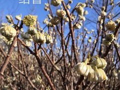 -洨河生态公园