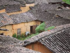 -杨家堂村