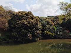 -月亮湾公园