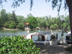 -黄村公园