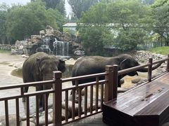 -北京野生动物园