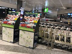 -米兰马尔彭萨国际机场