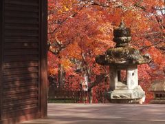-常寂光寺