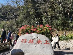 -普陀山慧济禅寺