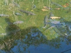 -大连天门山国家森林公园